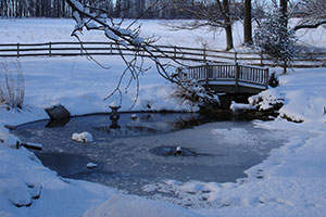 Защита вашего пруда зимой